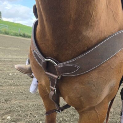 Ranch Hand HEadstall Leather Bridle Western breast collar roughout leather breast collar for sale (6)