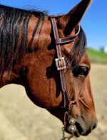 Ranch Hand western headstalls western bridle premium western bridles leather high quality western tack (13)