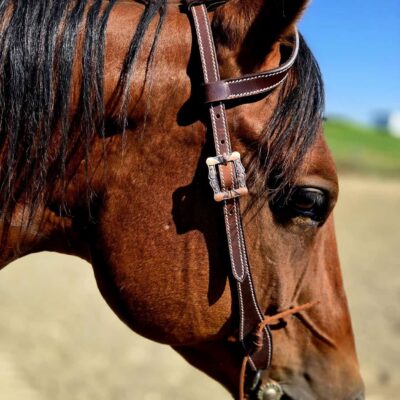 Ranch Hand western headstalls western bridle premium western bridles leather high quality western tack (13)