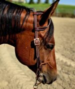 Ranch Hand western headstalls western bridle premium western bridles leather high quality western tack (14)