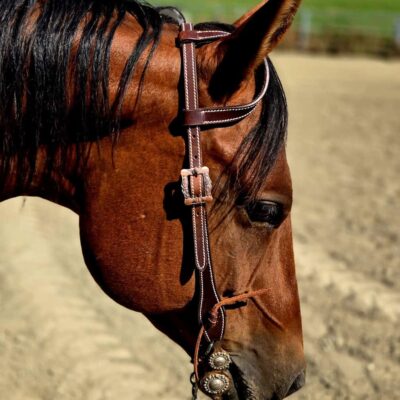 Ranch Hand western headstalls western bridle premium western bridles leather high quality western tack (14)