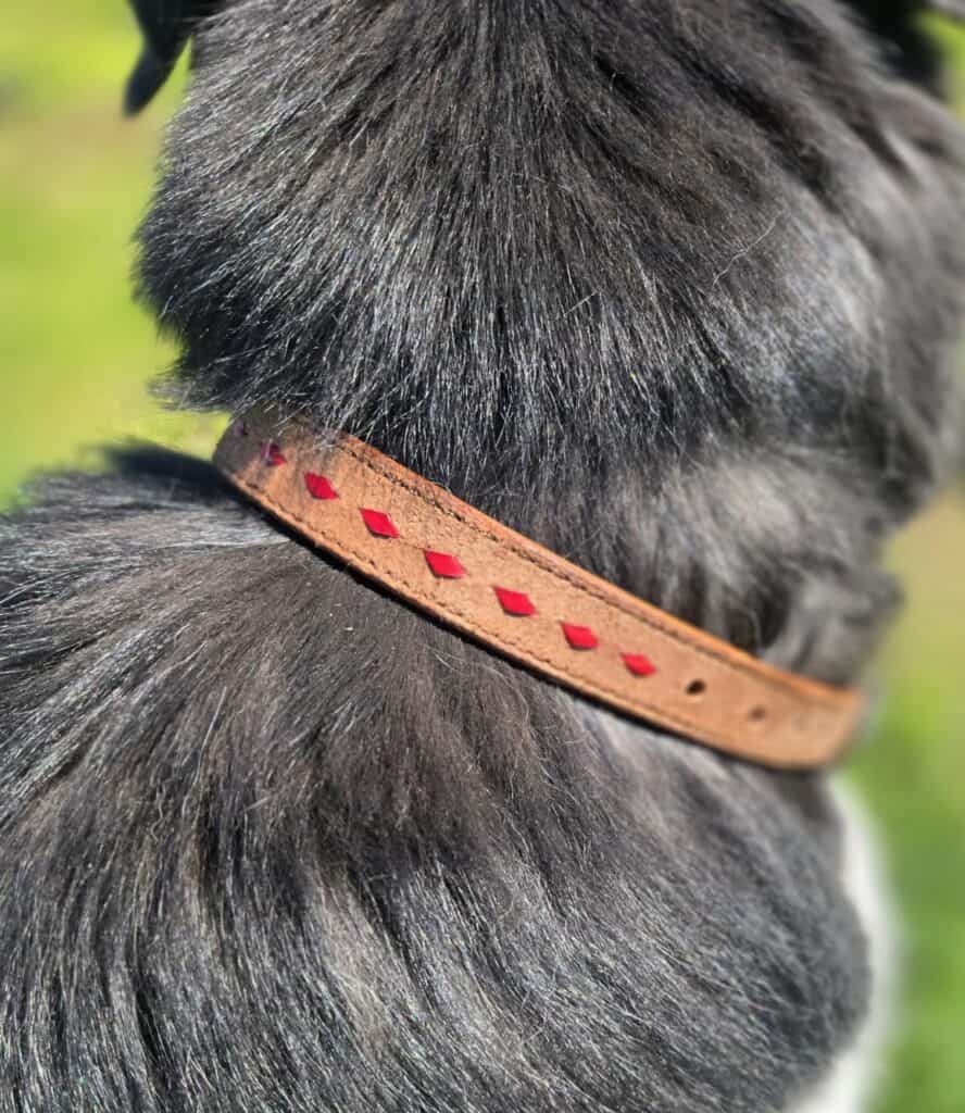 Ranch hand dog collar western dog collars leather dog collars buckstitch dog collars for ranch dogs cow dogs western premium leather dog collars (11)