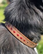 Ranch hand dog collar western dog collars leather dog collars buckstitch dog collars for ranch dogs cow dogs western premium leather dog collars (14)