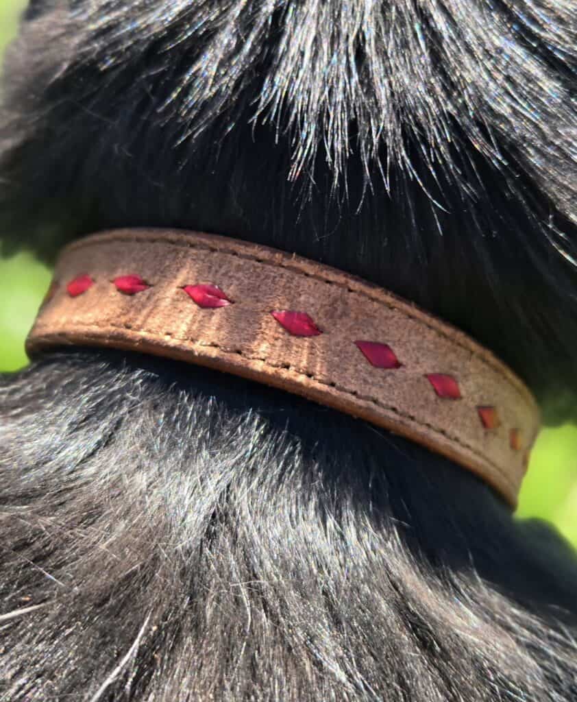 Ranch hand dog collar western dog collars leather dog collars buckstitch dog collars for ranch dogs cow dogs western premium leather dog collars (15)