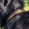 RUFFSTOCK Dog Collar - Roughout Leather with Buckstitch - view 7