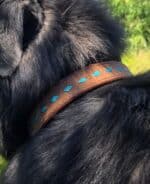 Ranch hand dog collar western dog collars leather dog collars buckstitch dog collars for ranch dogs cow dogs western premium leather dog collars (3)