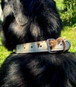 Ranch hand dog collar western dog collars leather dog collars buckstitch dog collars for ranch dogs cow dogs western premium leather dog collars (6)