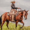 western metal ring breast collar