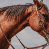 western metal ring breast collar