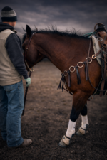 copper metal ring breast collar ranch hand handmade ring set (2)