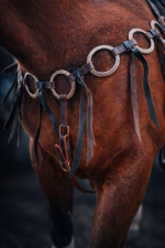 copper metal ring breast collar ranch hand handmade ring set (2)