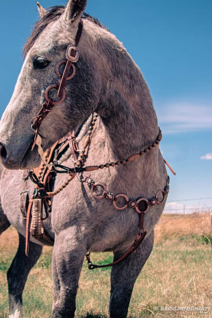 handcrafted western leather headstall cowboy style horse bridle romel reins (47)