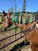 horse grooming mane care groominghorses (2)