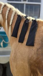 horse grooming mane care groominghorses (5)