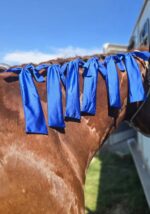horse mane care horse grooming Mane Bags Mane Socks Protect your horses mane (18)