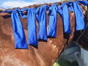 horse mane care horse grooming Mane Bags Mane Socks Protect your horses mane (18)