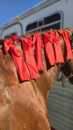 horse mane care horse grooming Mane Bags Mane Socks Protect your horses mane (24)