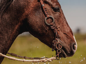 metal ring headstall western headstall for sale ranch hand