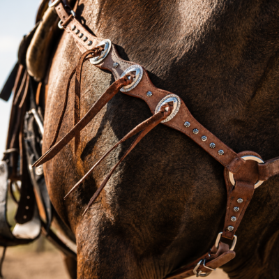 Outlaw Silver Concho Breast Collar