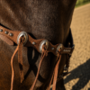 Outlaw Silver Concho Breast Collar - view 4