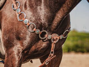 western metal ring headstall metal ring breast collar western horse tack ranch hand premium wenster bridle metal rings twisted iron (10)