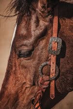 western metal ring headstall metal ring breast collar western horse tack ranch hand premium wenster bridle metal rings twisted iron (13)