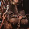 Twisted Iron - Silver Sage Metal Ring Breast Collar - view 5