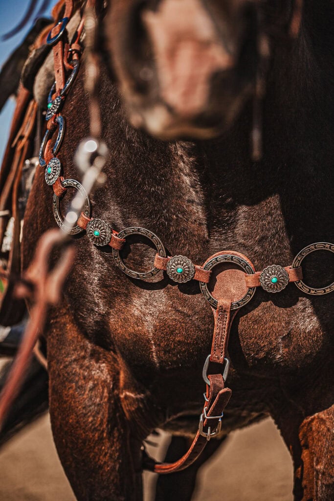 western metal ring headstall metal ring breast collar western horse tack ranch hand premium wenster bridle metal rings twisted iron (15)