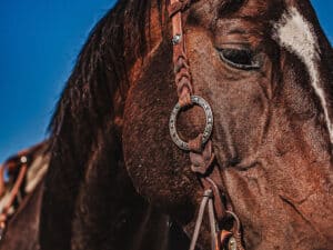 western metal ring headstall metal ring breast collar western horse tack ranch hand premium wenster bridle metal rings twisted iron (16)