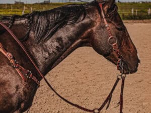 western metal ring headstall metal ring breast collar western horse tack ranch hand premium wenster bridle metal rings twisted iron (21)