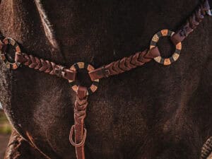 western metal ring headstall metal ring breast collar western horse tack ranch hand premium wenster bridle metal rings twisted iron (23)