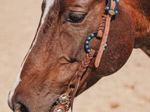 western metal ring headstall metal ring breast collar western horse tack ranch hand premium wenster bridle metal rings twisted iron (28)