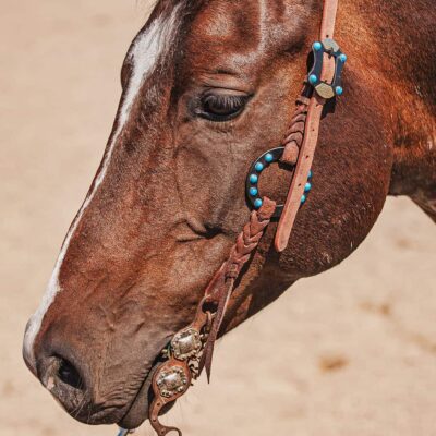 western metal ring headstall metal ring breast collar western horse tack ranch hand premium wenster bridle metal rings twisted iron (28)