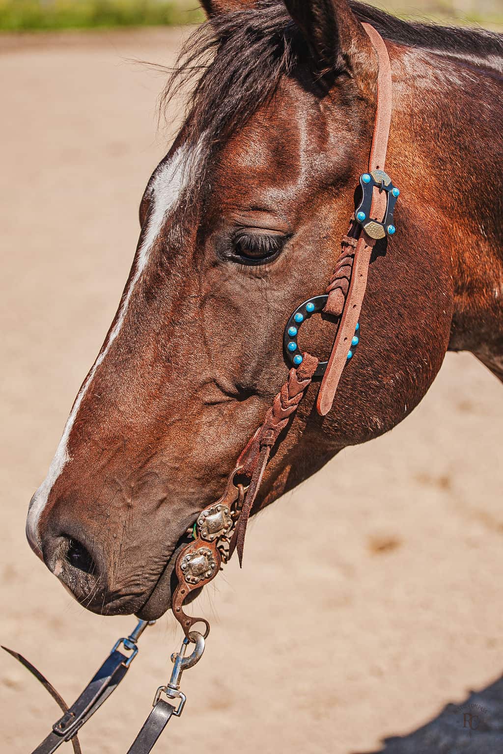 western metal ring headstall metal ring breast collar western horse tack ranch hand premium wenster bridle metal rings twisted iron (28)