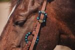 western metal ring headstall metal ring breast collar western horse tack ranch hand premium wenster bridle metal rings twisted iron (29)