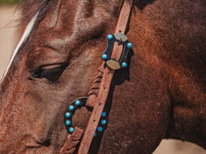 western metal ring headstall metal ring breast collar western horse tack ranch hand premium wenster bridle metal rings twisted iron (29)