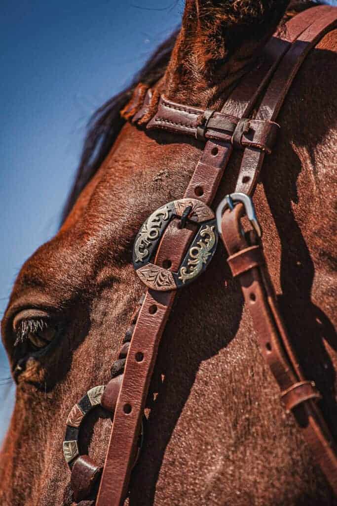western metal ring headstall metal ring breast collar western horse tack ranch hand premium wenster bridle metal rings twisted iron (31)