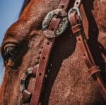 western metal ring headstall metal ring breast collar western horse tack ranch hand premium wenster bridle metal rings twisted iron (31)