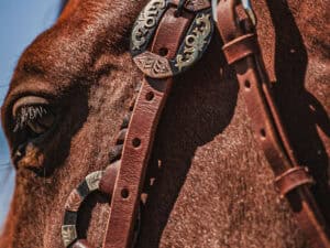 western metal ring headstall metal ring breast collar western horse tack ranch hand premium wenster bridle metal rings twisted iron (31)