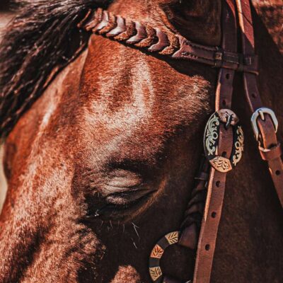 western metal ring headstall metal ring breast collar western horse tack ranch hand premium wenster bridle metal rings twisted iron (32)