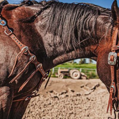 western metal ring headstall metal ring breast collar western horse tack ranch hand premium wenster bridle metal rings twisted iron (34)