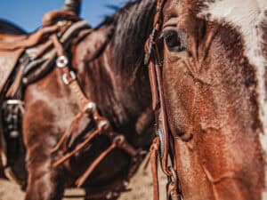western metal ring headstall metal ring breast collar western horse tack ranch hand premium wenster bridle metal rings twisted iron (35)