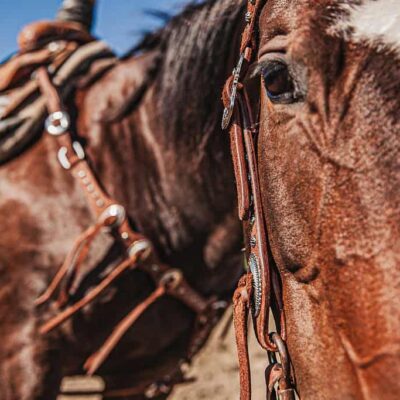 western metal ring headstall metal ring breast collar western horse tack ranch hand premium wenster bridle metal rings twisted iron (35)