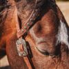 Outlaw Silver Concho One Ear Headstall