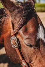 western metal ring headstall metal ring breast collar western horse tack ranch hand premium wenster bridle metal rings twisted iron (36)