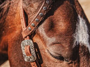 western metal ring headstall metal ring breast collar western horse tack ranch hand premium wenster bridle metal rings twisted iron (36)