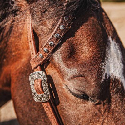 western metal ring headstall metal ring breast collar western horse tack ranch hand premium wenster bridle metal rings twisted iron (36)