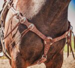 western metal ring headstall metal ring breast collar western horse tack ranch hand premium wenster bridle metal rings twisted iron (37)