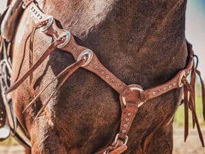 western metal ring headstall metal ring breast collar western horse tack ranch hand premium wenster bridle metal rings twisted iron (37)