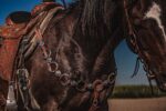 western metal ring headstall metal ring breast collar western horse tack ranch hand premium wenster bridle metal rings twisted iron (8)